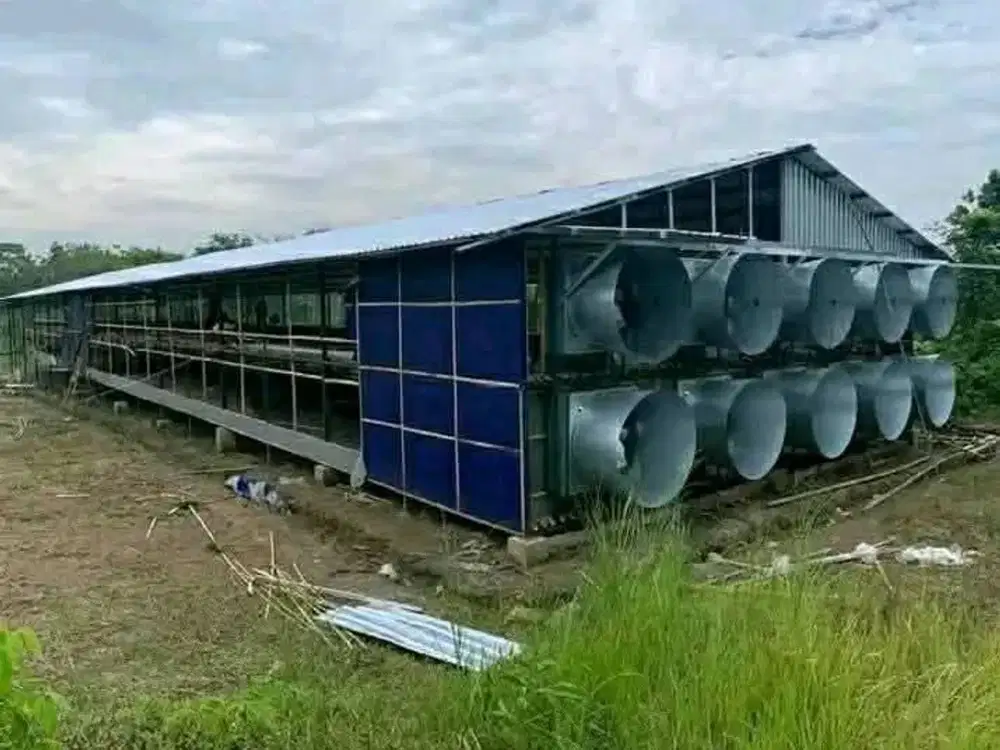 Di jual kandang ayam boiler di purwakarta