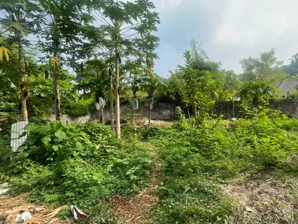 Dijual Cepat & Murah Tanah di Kawasan Villa Pantai Padanggalak