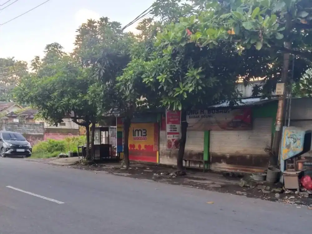 Dijual TANAH lokasi PREMIUM di jalan badak agung