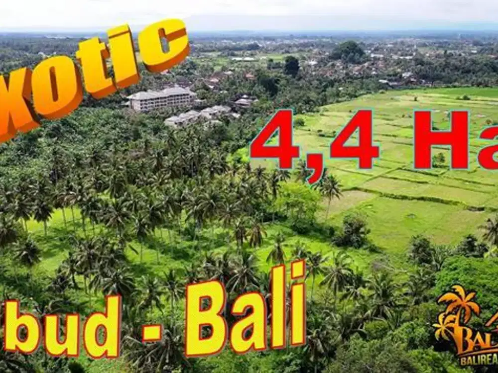 Akses Jalan Mobil 4,4 Hektar Dekat Monkey Forest