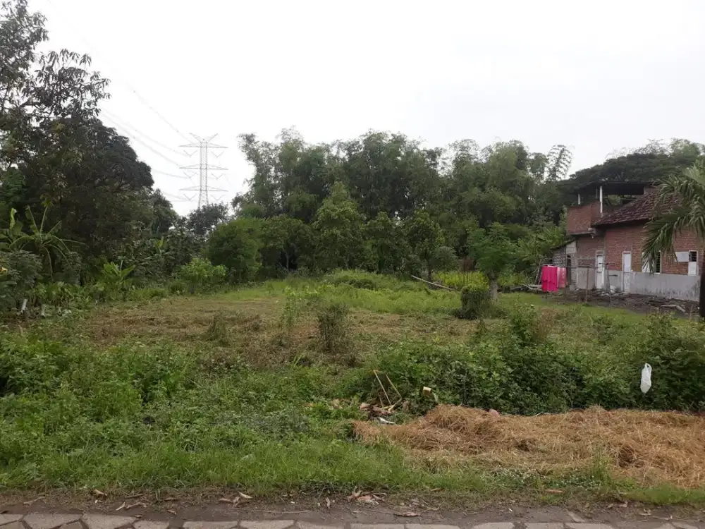 Dijual Tanah Siap Bangun Desa Banjaran Driyorejo Gresik