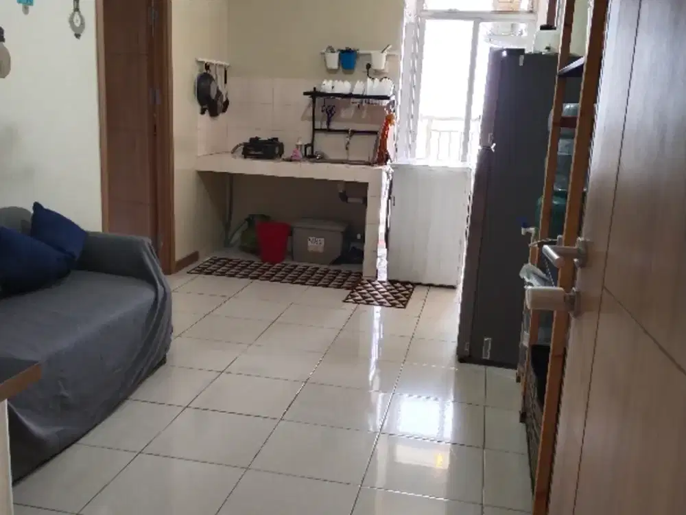 apt green palm Jak bar