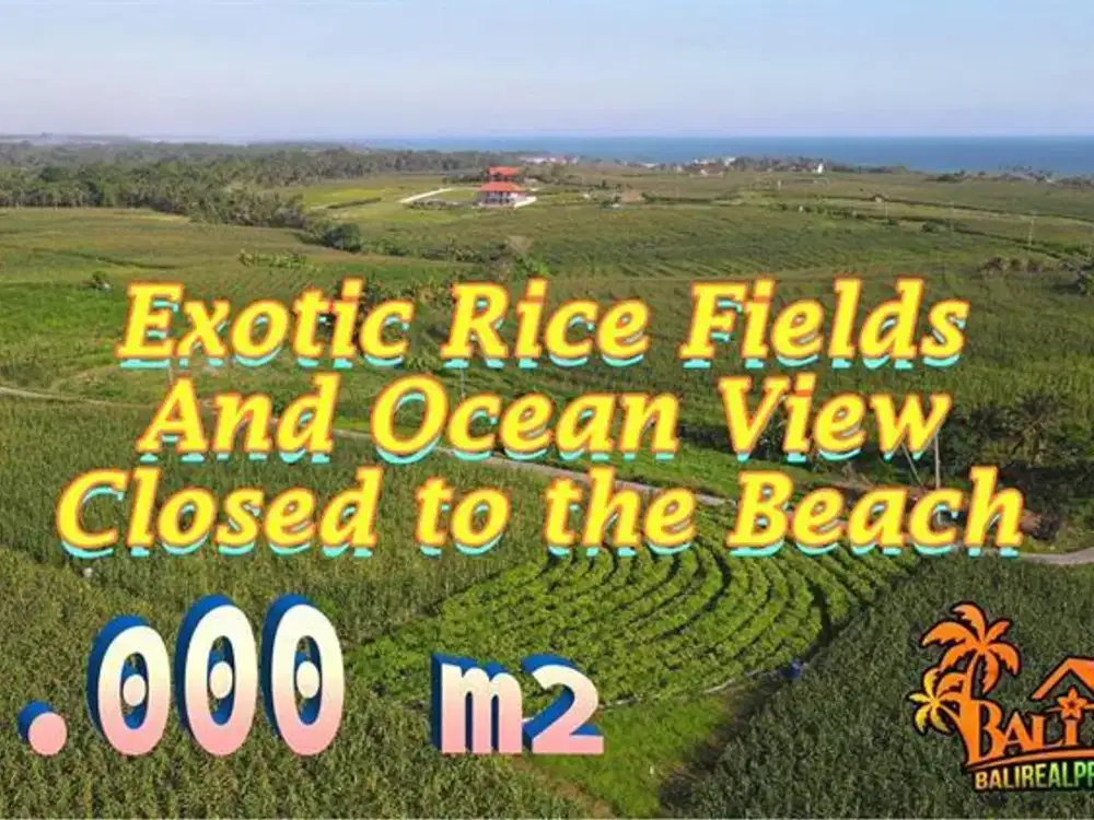 Magnificent 1,000 sqm in Selemadeg Timur, Tabanan