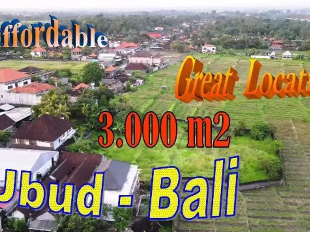 Pinggir Jalan Raya Lot Tunduh 3,000 m2 Area Sentral Ubud