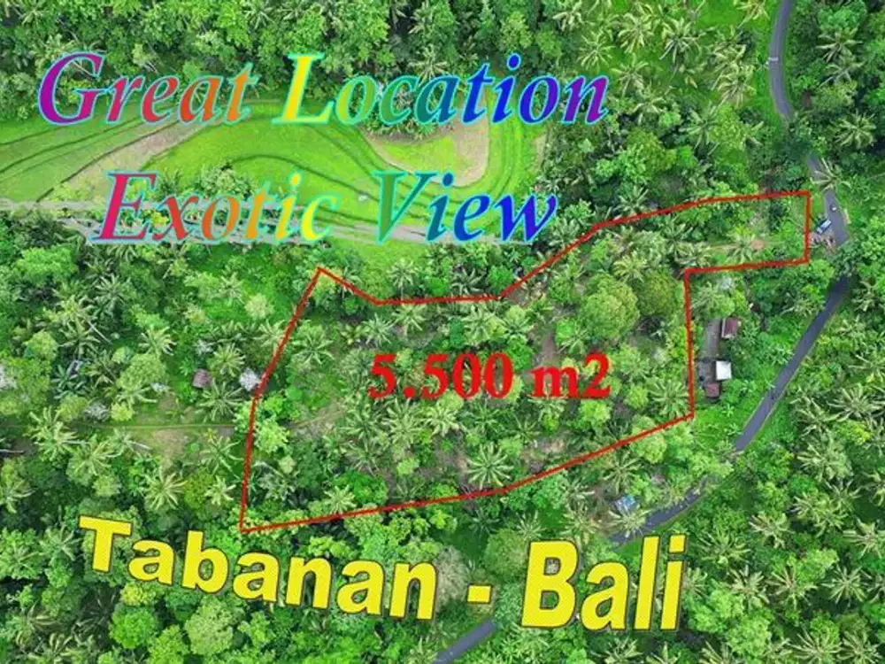 5,500 m2 Langka! Murah Lokasi  Lahan Pinggir Jalan