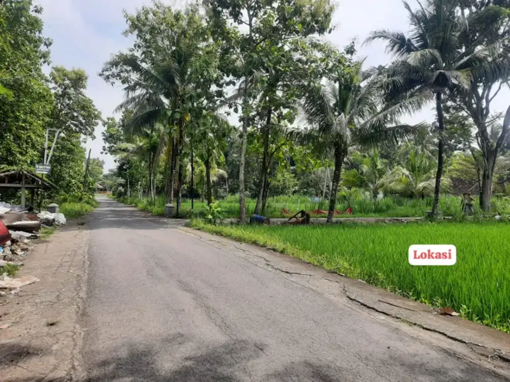 Tanah Murah View Hamparan Sawah di Kedungsari Pengasih