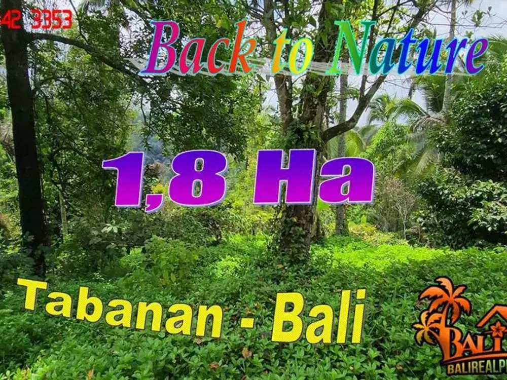 Dijual 1,8 Hektar Lahan Kebun Dekat Jalan Aspal