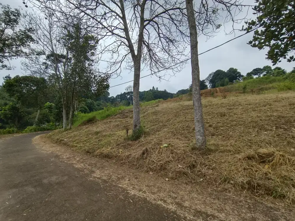 Jual kav luas 250m di puncak cisarua bogor shm