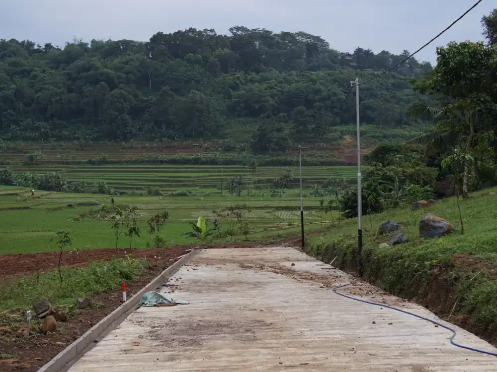 Tanah Murah Cocok Untuk Vila dan Kebun di Kawasan Agrowisata Bogor