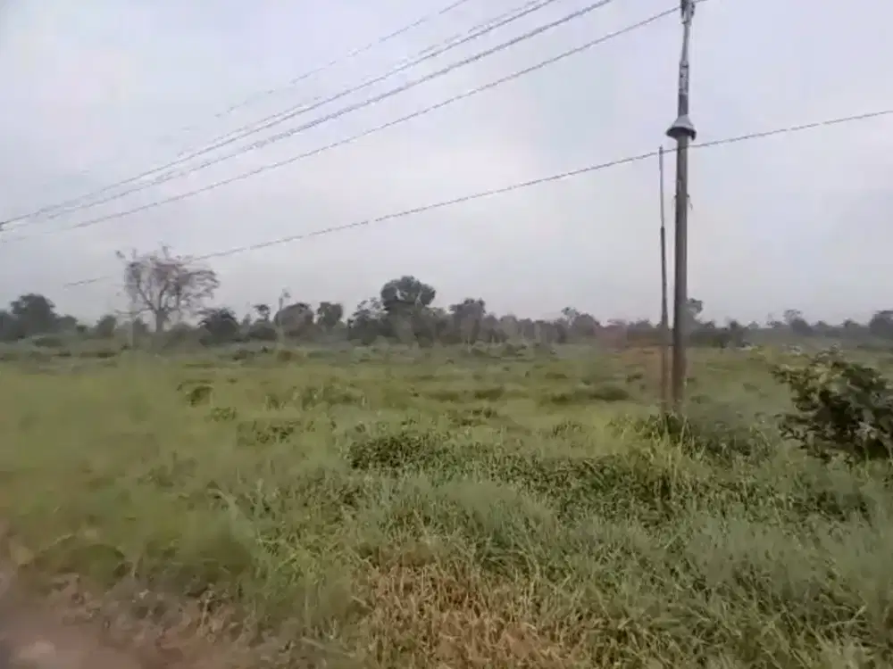 Tanah As1 Lintas Timur Auduri