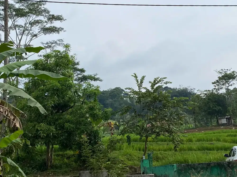 Tanah Kebun Durian Manggis Pinggir Sungai di Purwakarta Dijual Murah