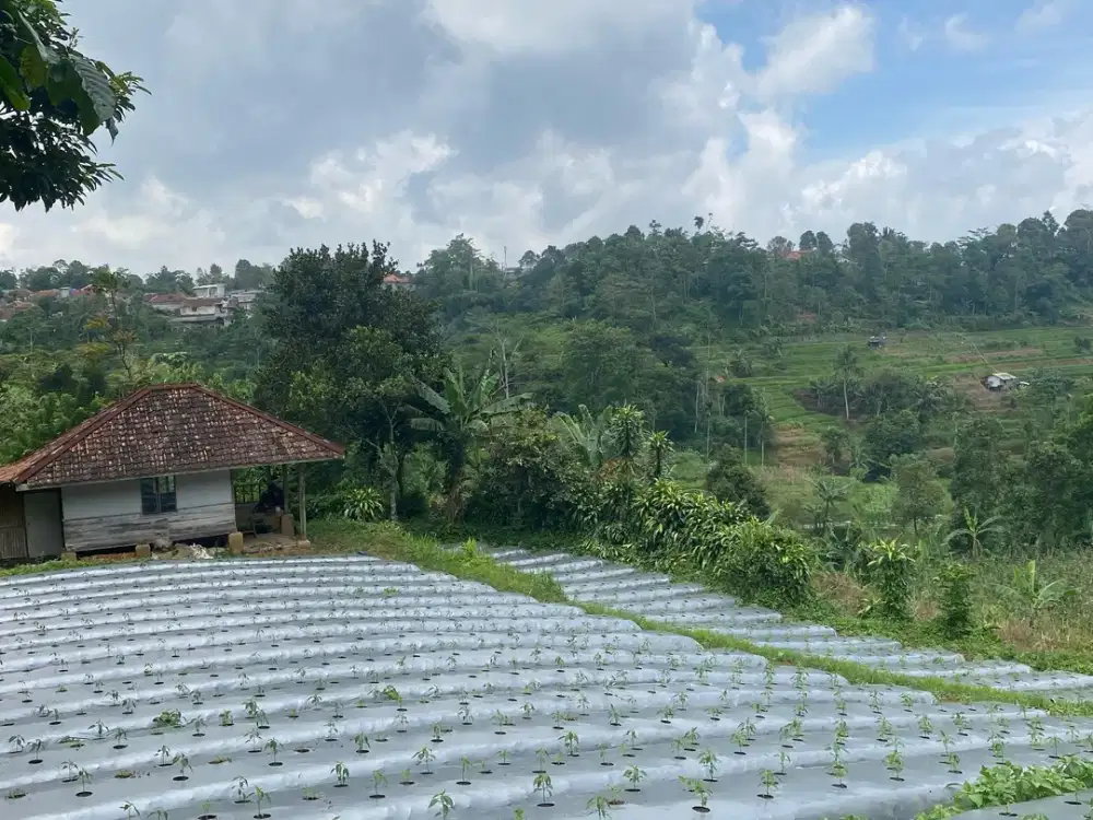 Dijual Murah Tanah 1,4 Hektar Akses Mobil di Bojong Purwakarta