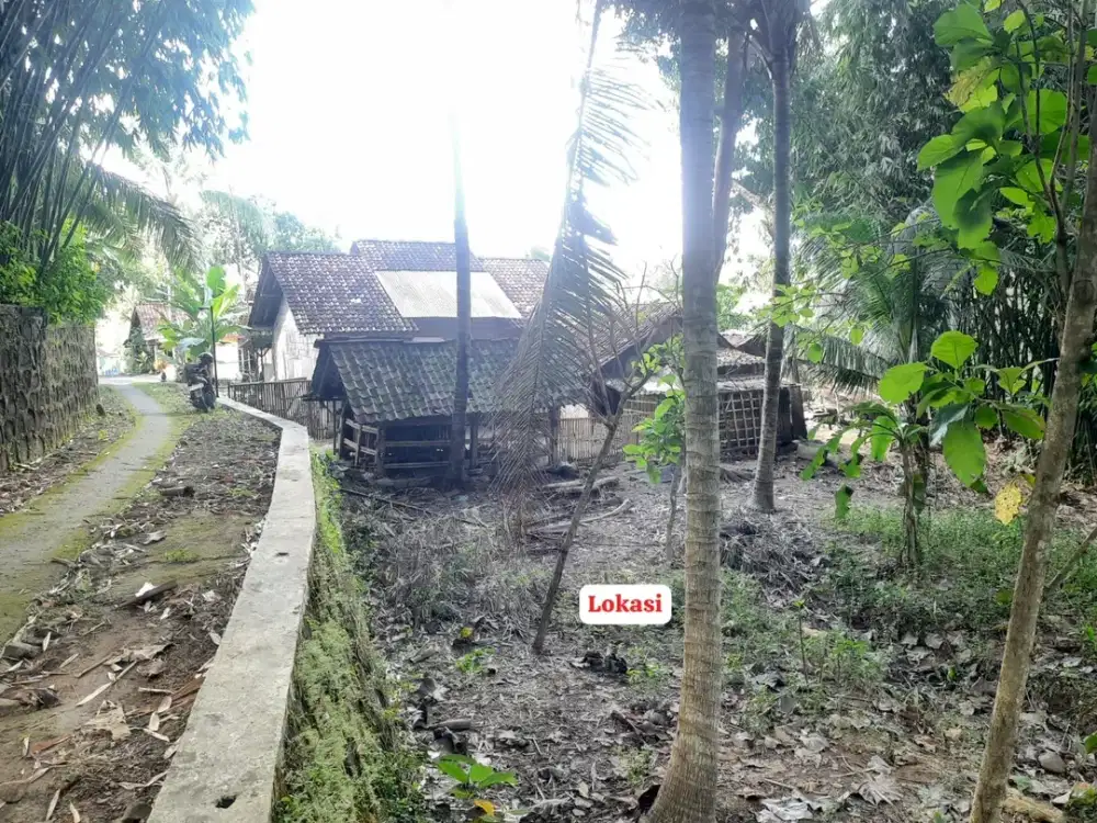 Dijual Tanah Murah dan Luas dekat Pasar Sentolo