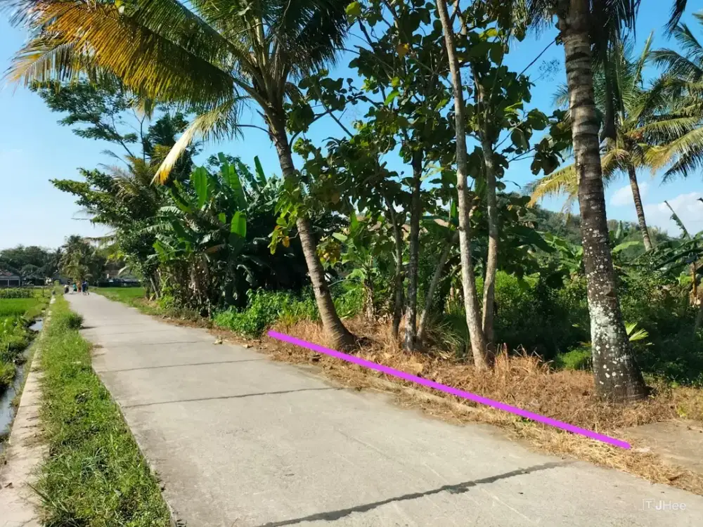 Dijual Sawah di Sidorejo, Godean, Sleman