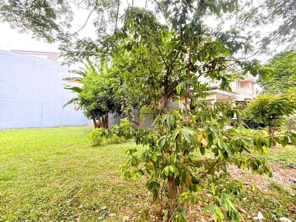 Dijual Tanah di Sutera Cemara, Alam Sutera