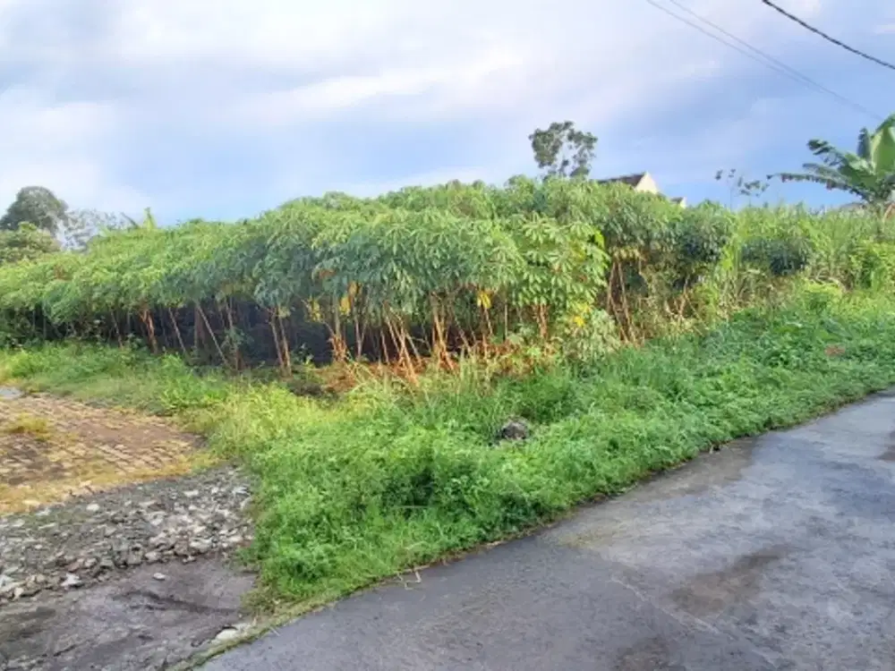 Jual Tanah HookMurah  Bunut Asrikaton Malang Dekat Exit tol