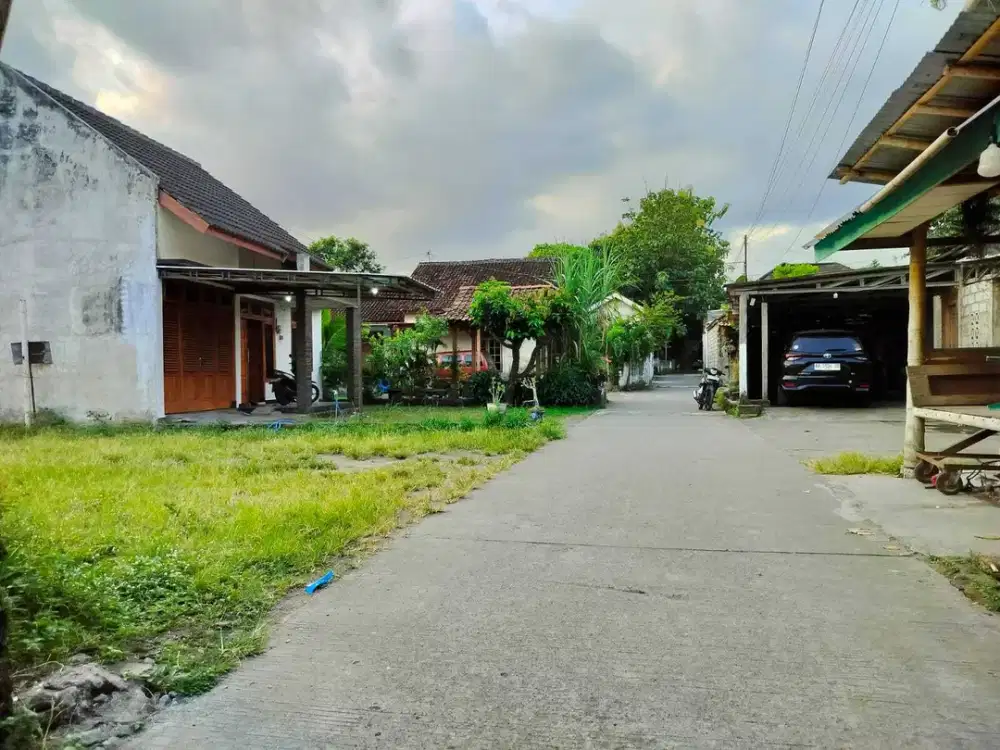 Tanah murah di Dekat Jejamuran Pandowoharjo