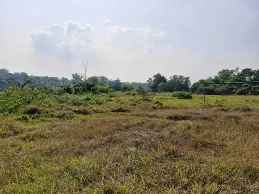 Dijual Tanah Kavling 13.900 m² – Desa Cibinung Karangharja, Cisoka