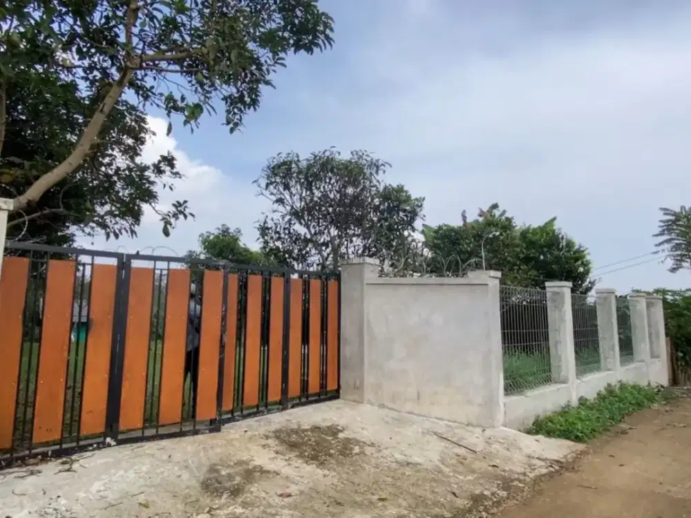 Dijual Murah Tanah Kebun Alpukat Durian Fasilitas Kumplit Purwakarta