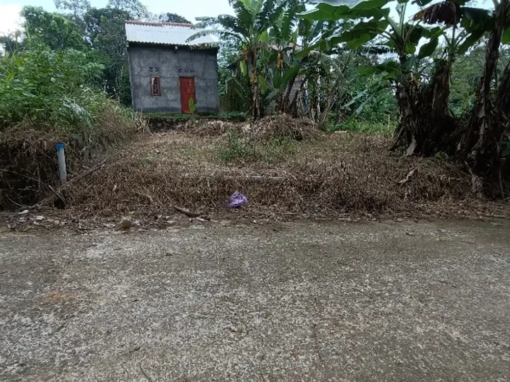 Tanah murah jalan cor jawisari