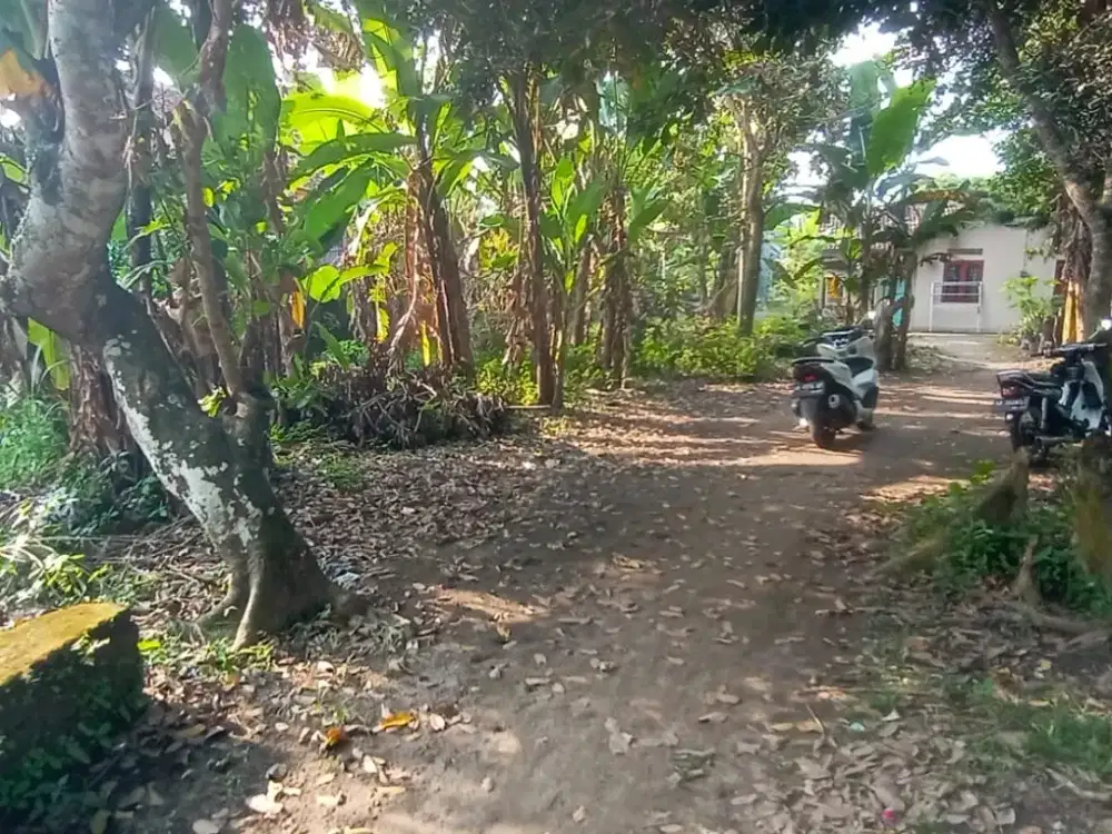 Tanah Pekarangan Menarik Area Lapas Cebongan Barat Terminal Jombor