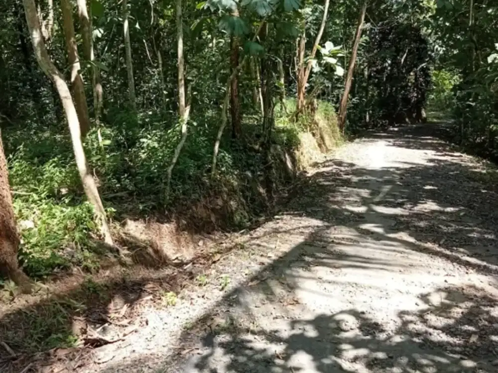 Banting harga sangat murah tanah istimewa 300m dari Jl Boro