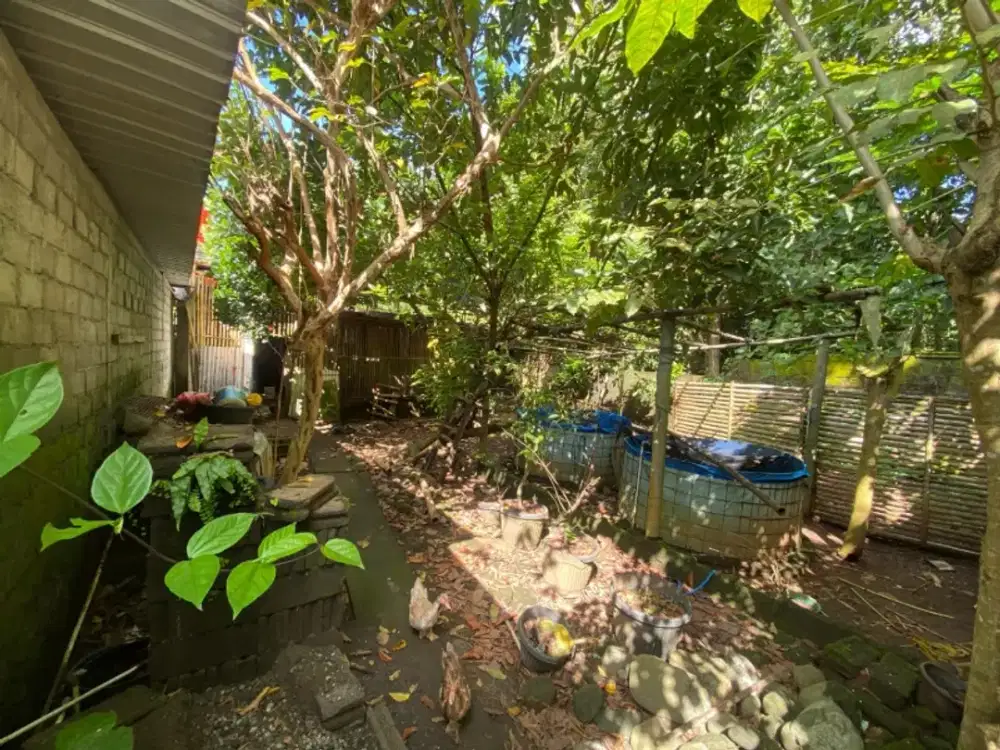 Tanah bonus bagunan aksea 1km dari jalan raya kebon agung