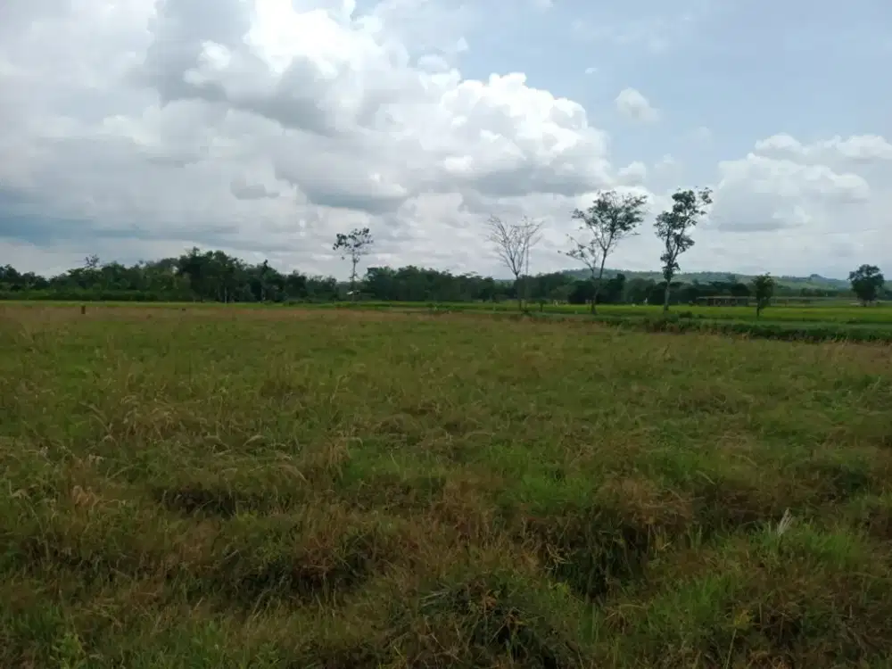 Aset BTN Solo Tanah Kosong di Simo - Boyolali