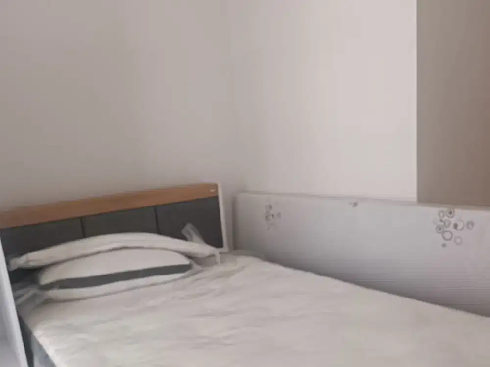 Disewakan apartemen Tokyo riverside pik2 studio furnish 17jt/thn