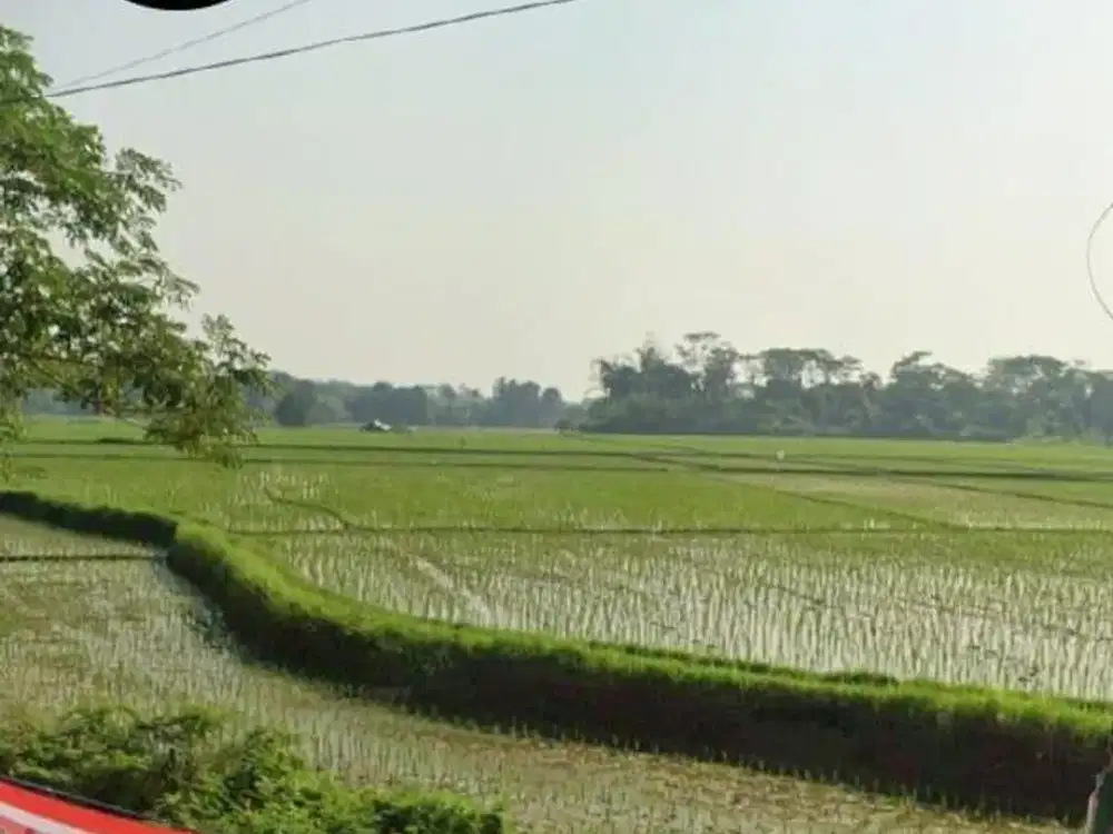 Dijual/sewa tanah posisi strategis di Jonggol Bogor