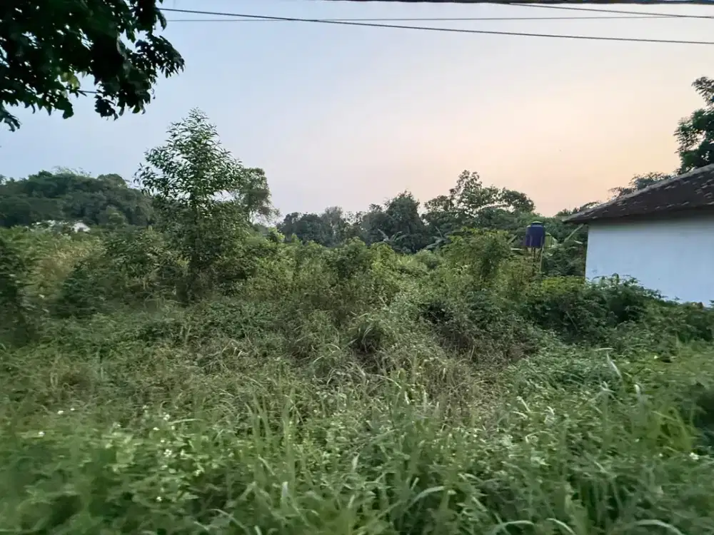 Tanah Kavling Depan Jalan Raya Utama Tenjo , Singabangsa