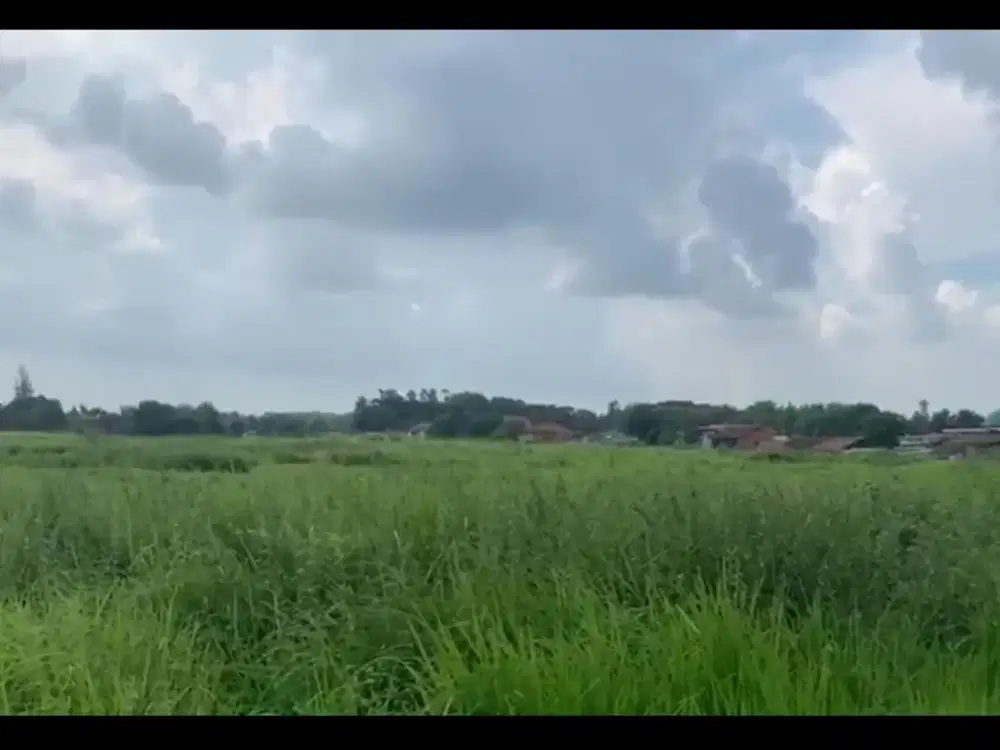 Turun Harga dijual cepat tanah luas di karawang timur