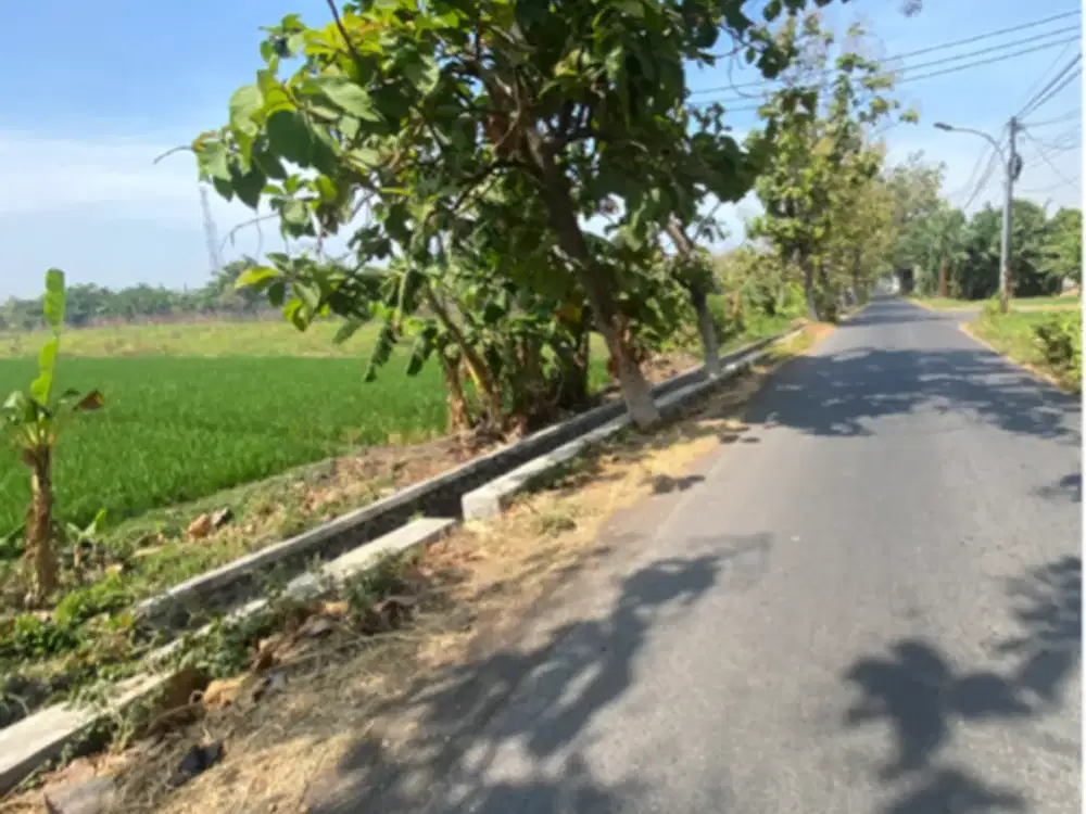 jual tanah industri kota pasuruan jamin zona industri