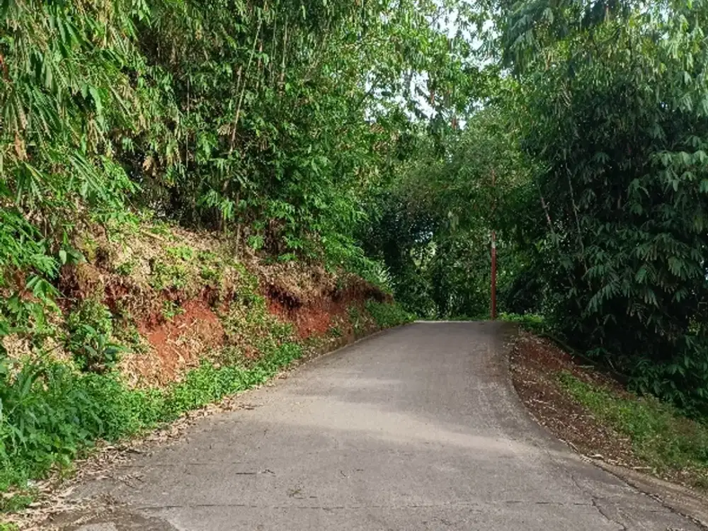 tanah bagus bisa bayar bertahap nego berantakan
