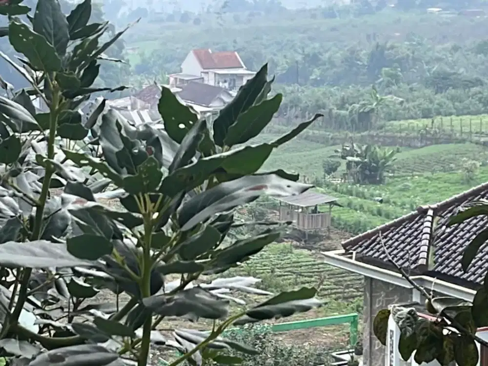 Tanah di kota Batu Cuban Talun  dekat padda cafe, Dekat hotel purnama