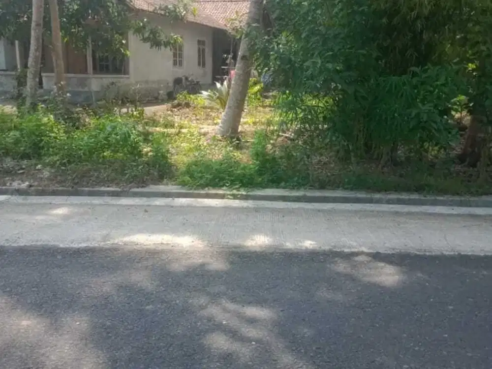 TANAH MURAH LUAS DIKARANGREJO KARANGWUNI WATES KULON PROGO YOGYAKARTA