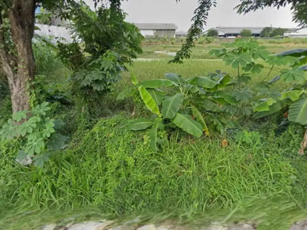 Kavling Tahan Di Cangkir