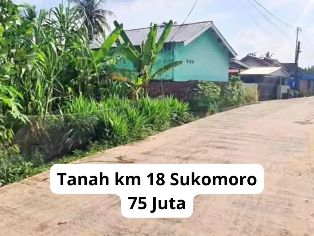 tanah murah sukomoro  km 18