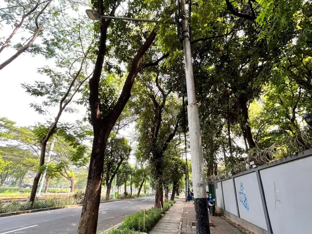 Kavling Strategis di Jl Latuharhary Menteng