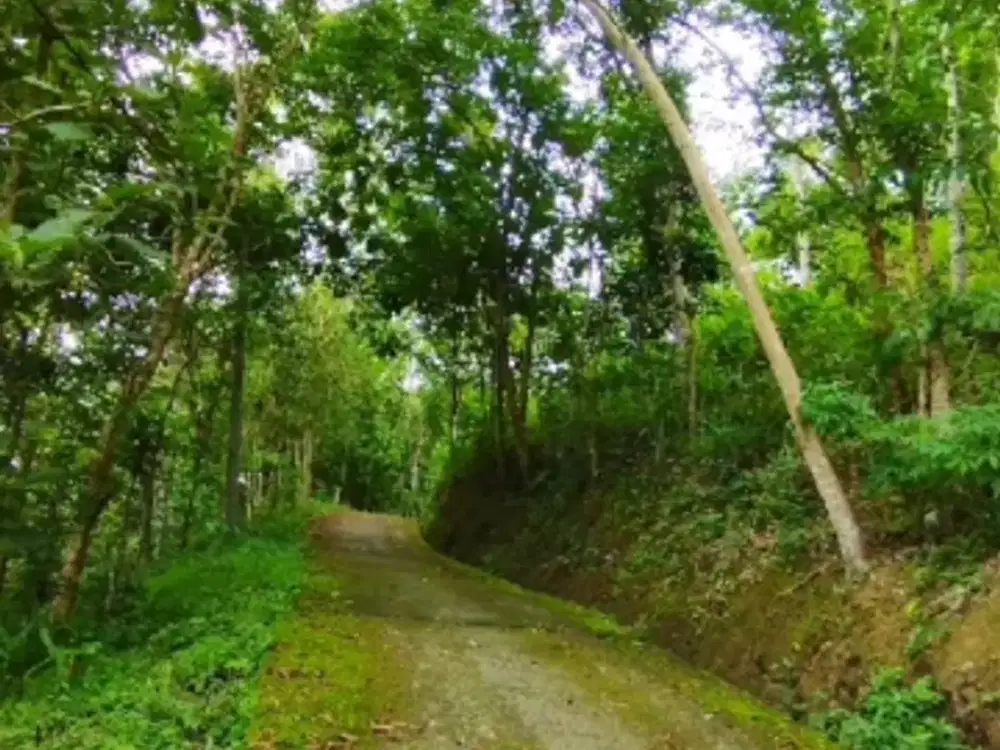 Tanah view waduk sermo cocok  tuk villa maupun hunian