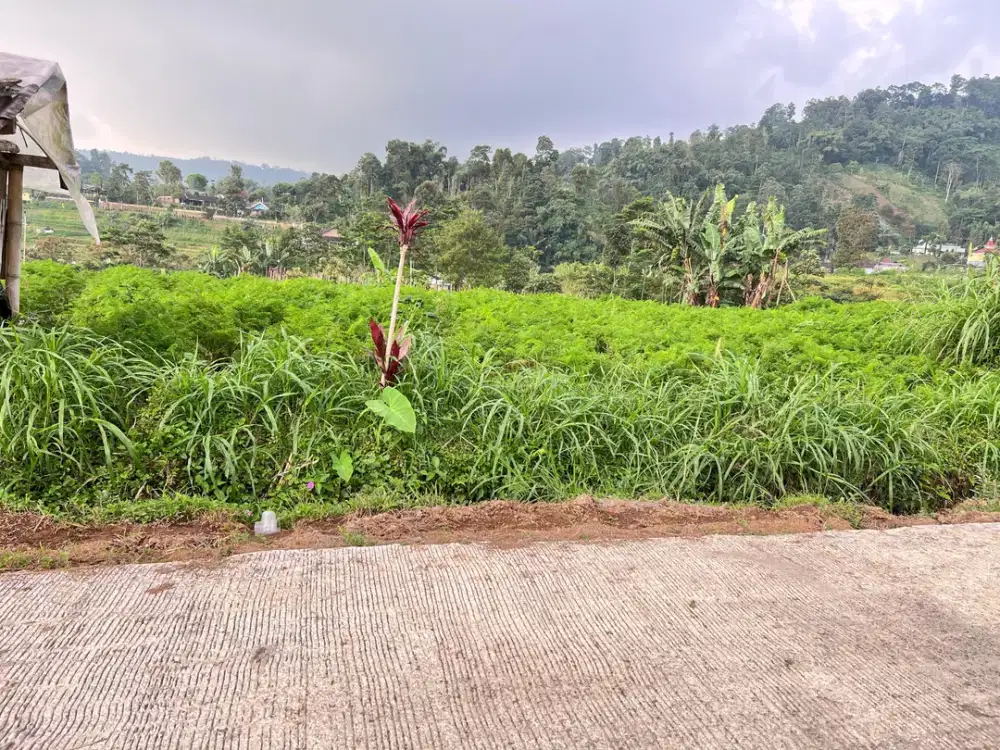 Tanah Datar 3200m² View Tanpa Terhalang Kemuning, Karanganyar