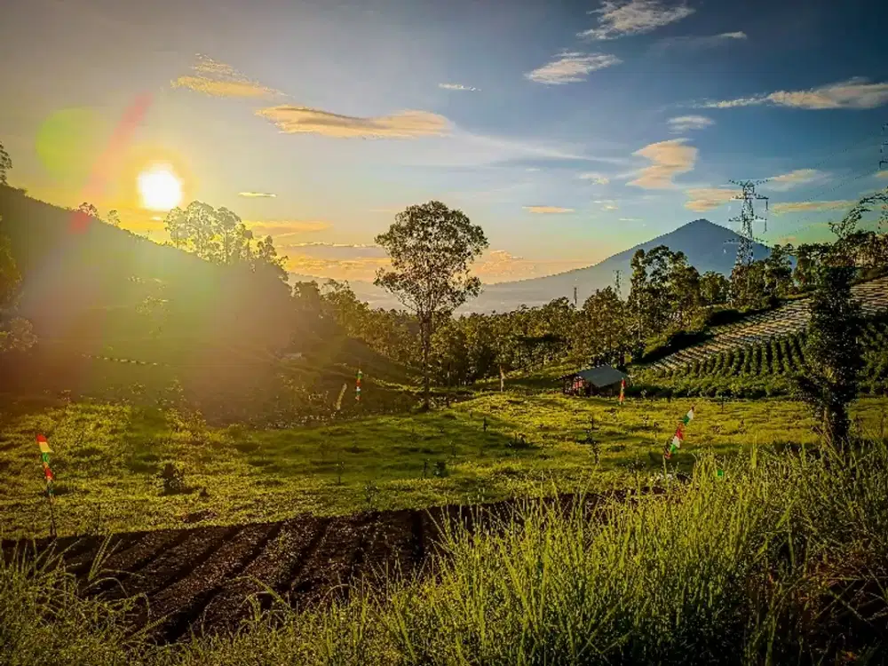 Kavling Villa Siap Bangun Di Kamojang Garut Jawa Barat