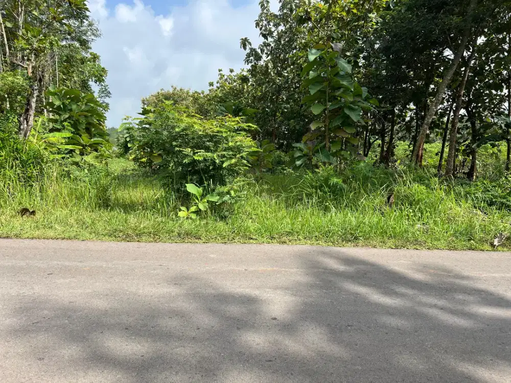 Tanah Datar Untuk Gudang 1000m² Tepi Jl Raya Kerjo – Sragen