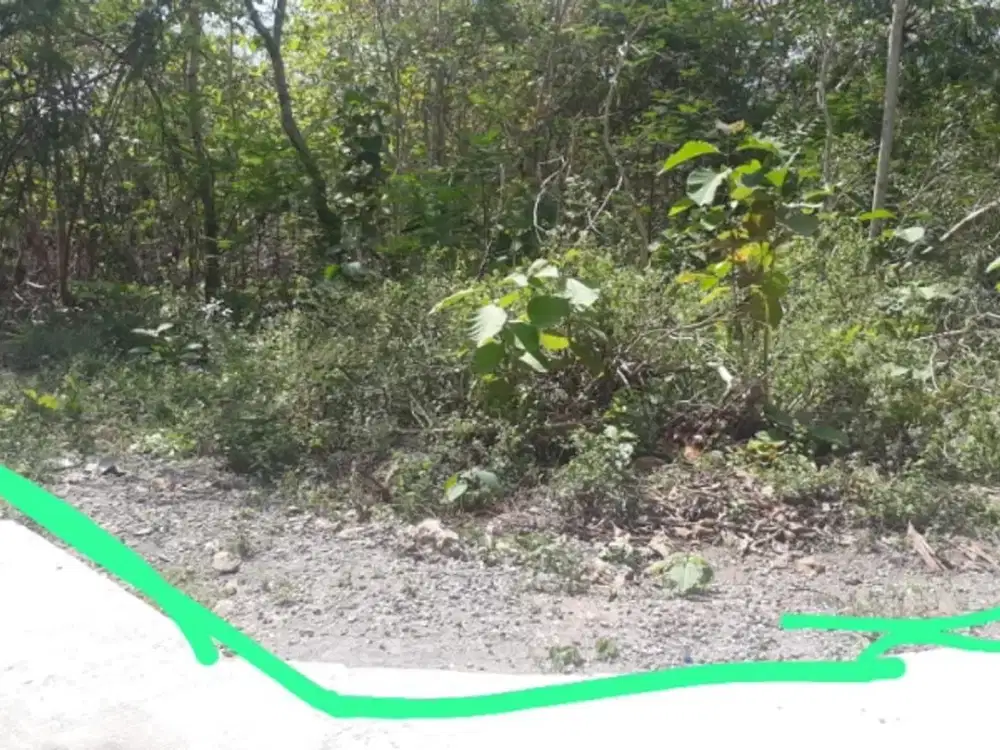 Jual Cepat yanah 3km kota wates lokasi datar padat penduduk