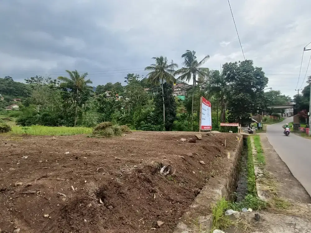 Dijual Tanah Jatinangor Area Kampus 300jt an SHM