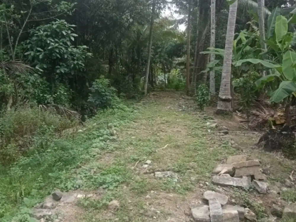 Obral murah tanah panjatan dekat pasar Ngebung paa tuk investasi