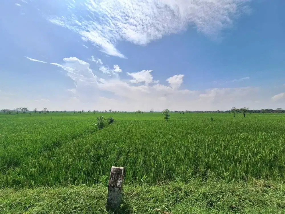 Jual Tanah di Zona Industri Pasiripis, Jatitujuh, Majalengka