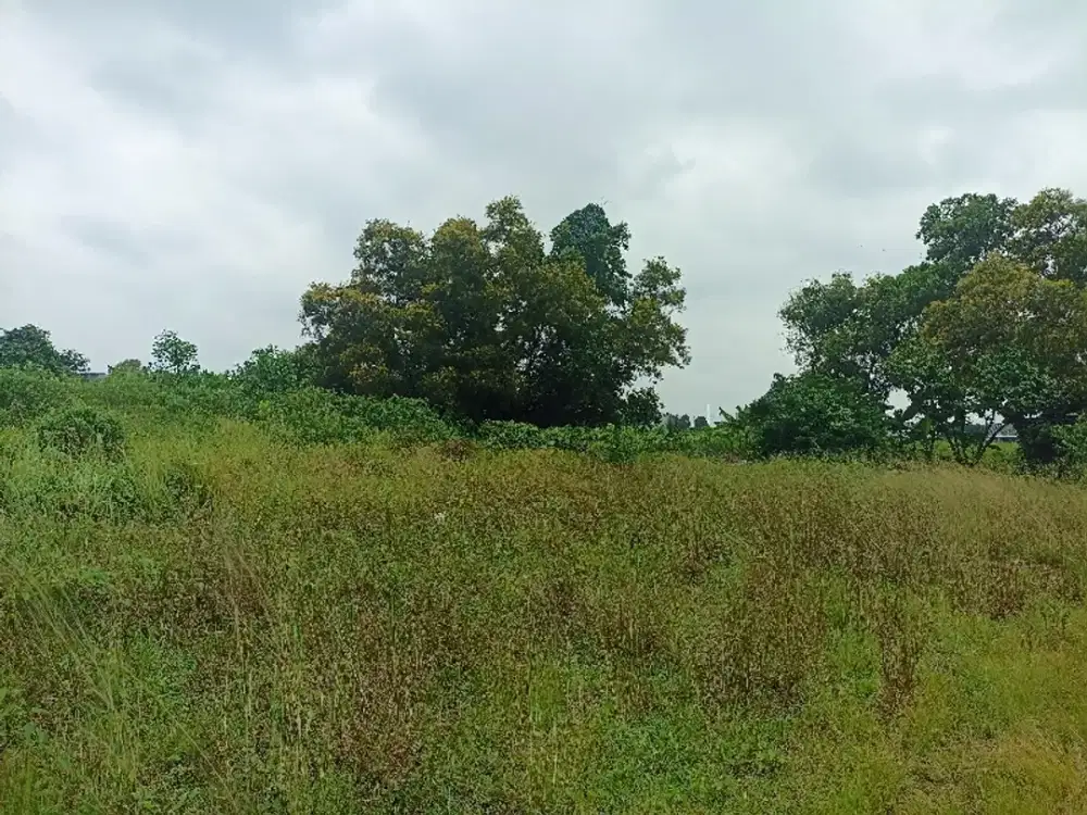 Dijual tanah 40.000 meter (4 Ha) dekat Jakabaring Palembang