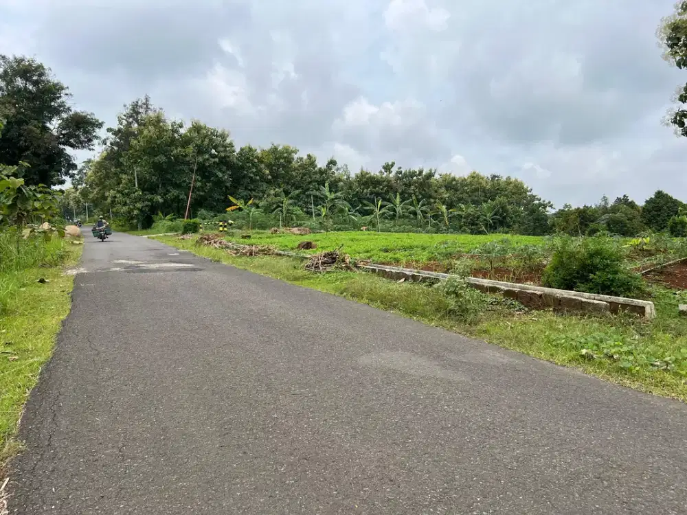 Tanah Zona Kuning 7523m Cocok Untuk Gudang Tepi Jl Raya Karanganyar