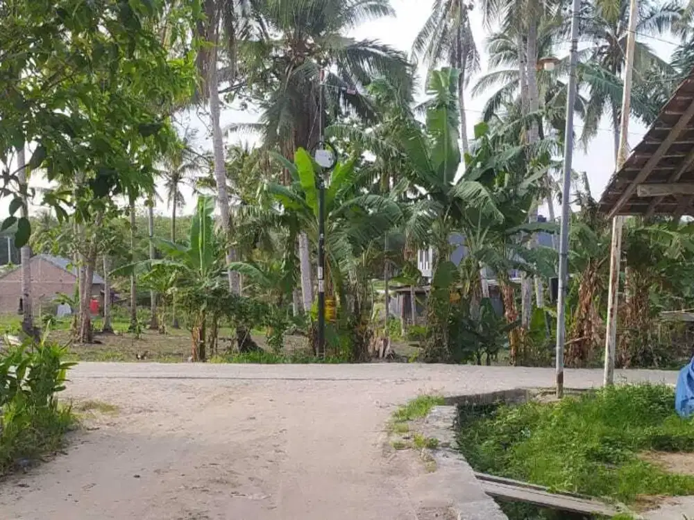 TANAH DEKAT KAMPUS ITERA DIJUAL MURAH